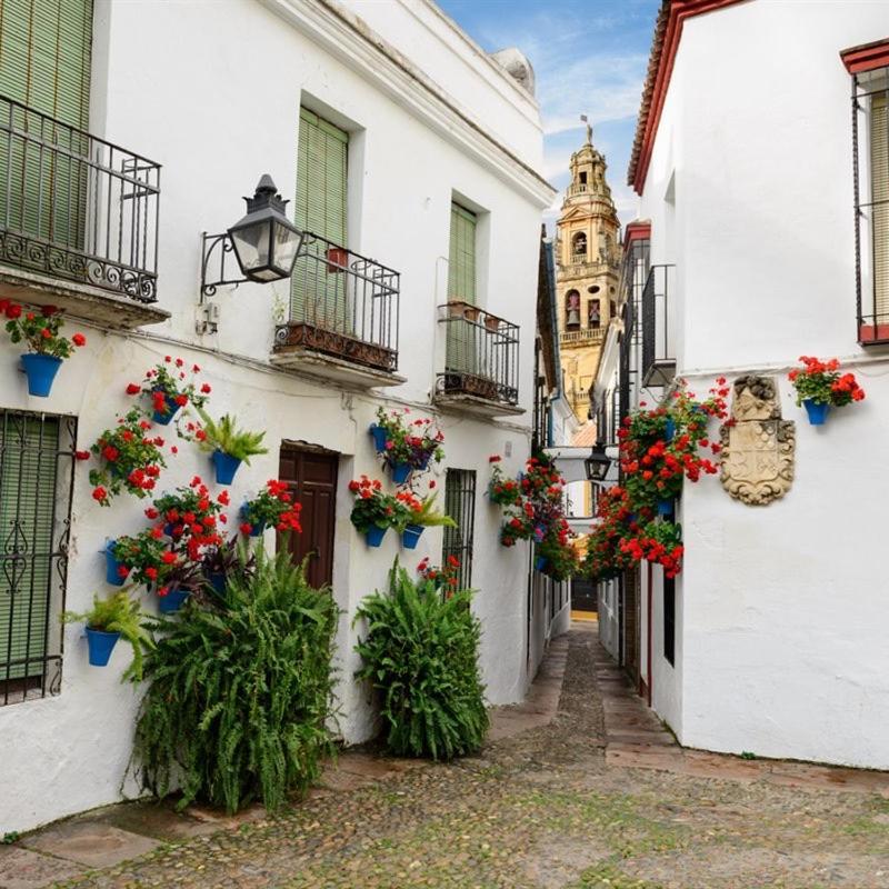 コルドバEl Patio De San Miguelアパートメント エクステリア 写真